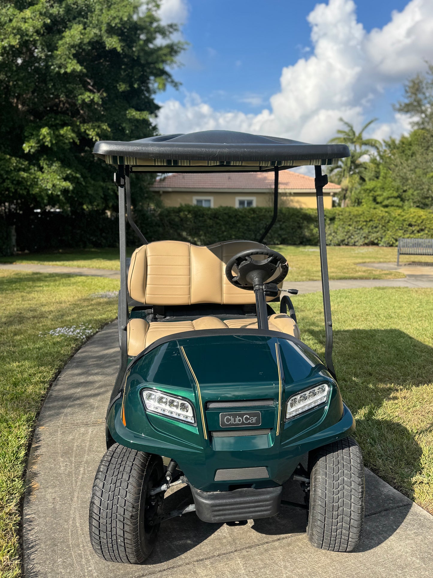 Green Metallic Pearl Onward- 2023